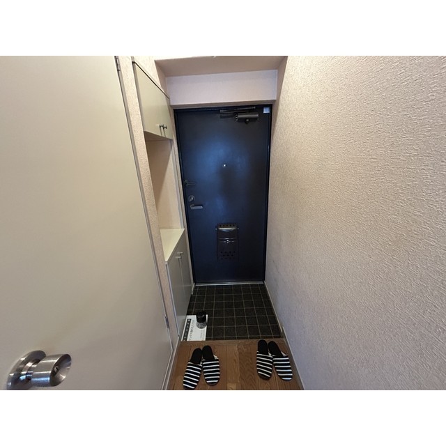 セントヒルズ東川口 玄関