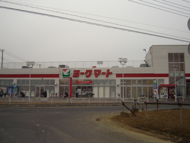 リバー・ウィンド ヨークマートまで700ｍ