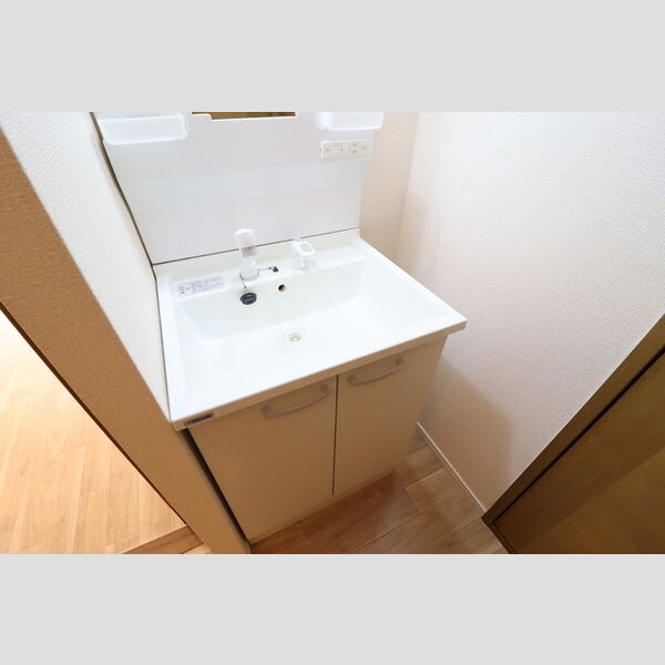 アネシス205号室 洗髪洗面化粧台