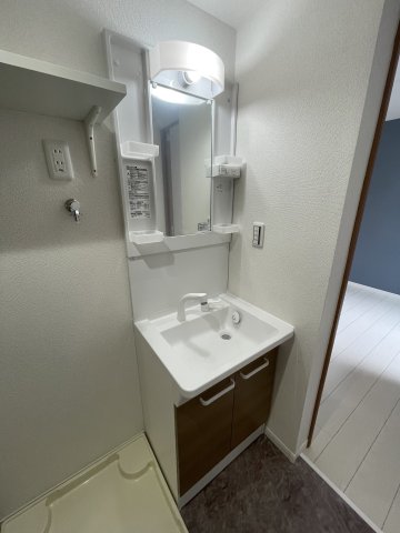 BLOOM保土ケ谷101号室 洗面