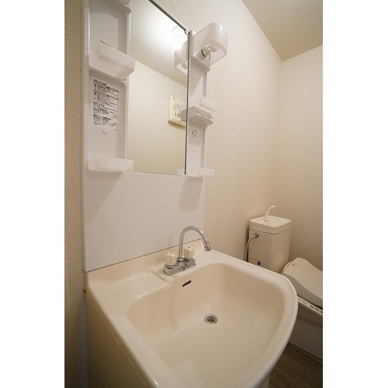 Ｙ’Ｓ　ＨＯＵＳＥ0101号室 独立洗面台