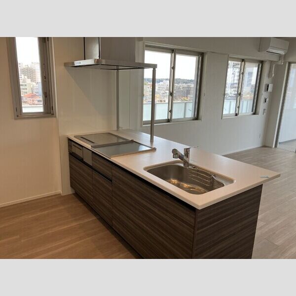 THE RejuvePort KISARAZU0504号室 システムキッチン