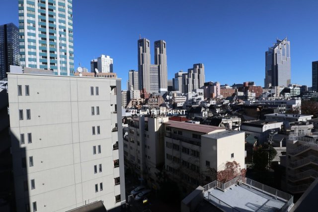 パレステュディオ新宿パークサイド9階 眺望