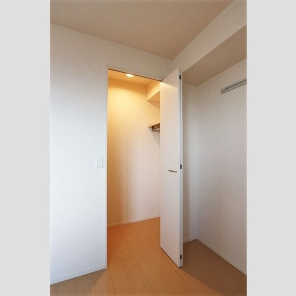 フラッツ酒井根　Ⅰ号棟303号室 クローゼット