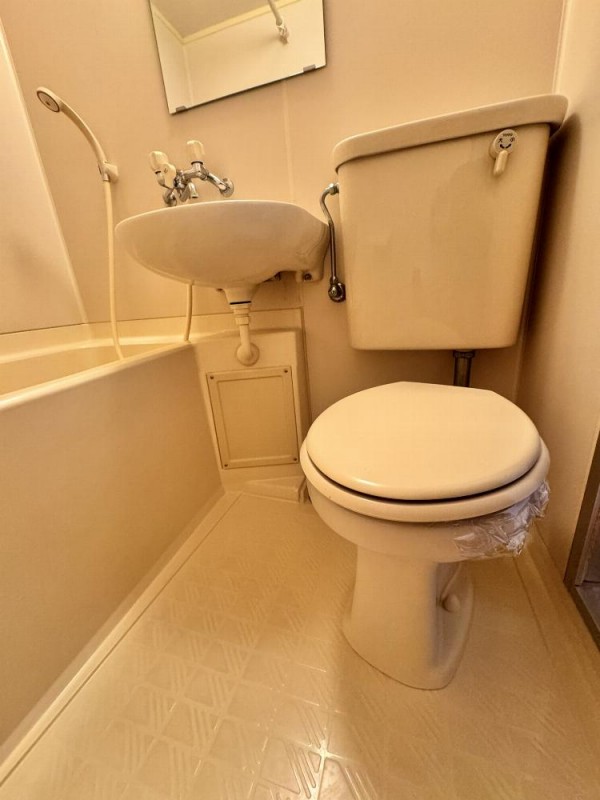 パストラル１７(E-174)3階 トイレ