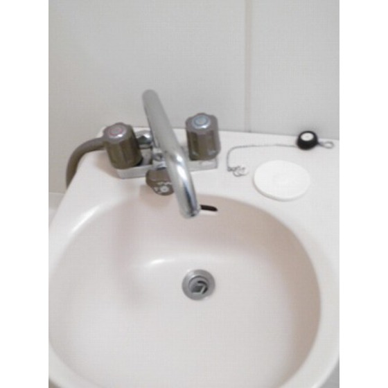 メゾン丸十0802号室 洗面台