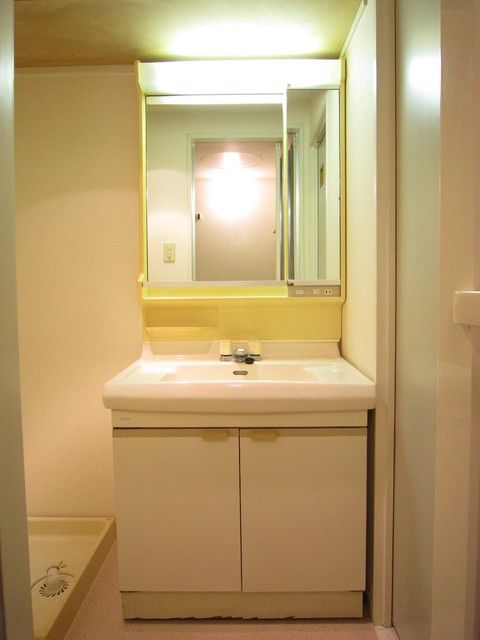 グリーンハイツ砂川0207号室 洗面