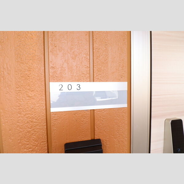 Aoiパレス溝の口203号室 玄関