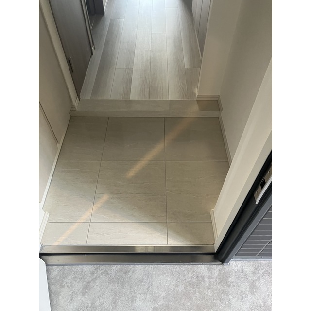 ACP Residence 亀戸0606号室 玄関