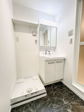 スカイルーチェ南浦和302号室 洗面