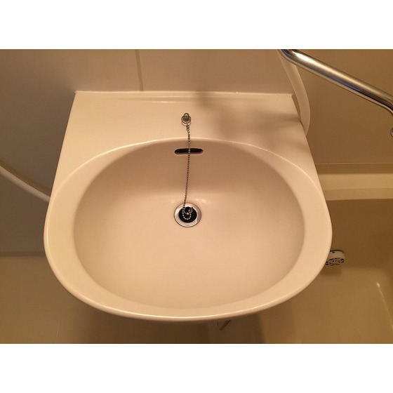 グリーンヒル蝉坂0202号室 洗面台