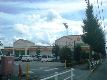 ハイネスグリューネ スーパーオザム栄町店