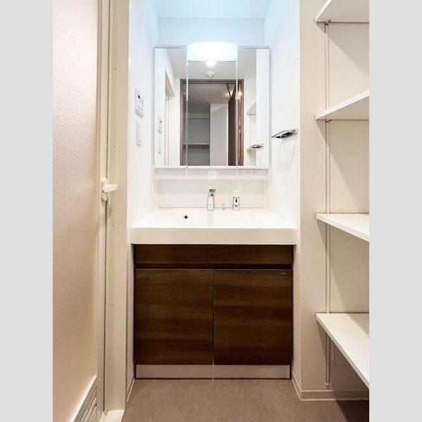 S-RESIDENCE浅草diverse401号室 洗面