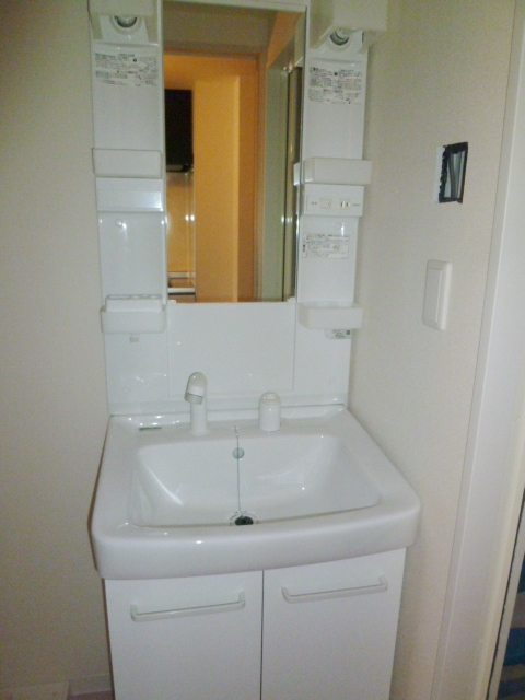 トレセリア大和田弐番館 洗面所