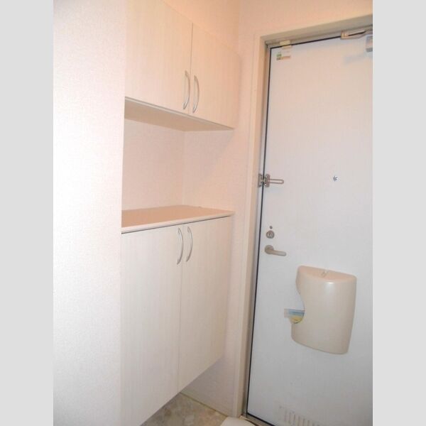 ビューティー・フレア シューズボックス