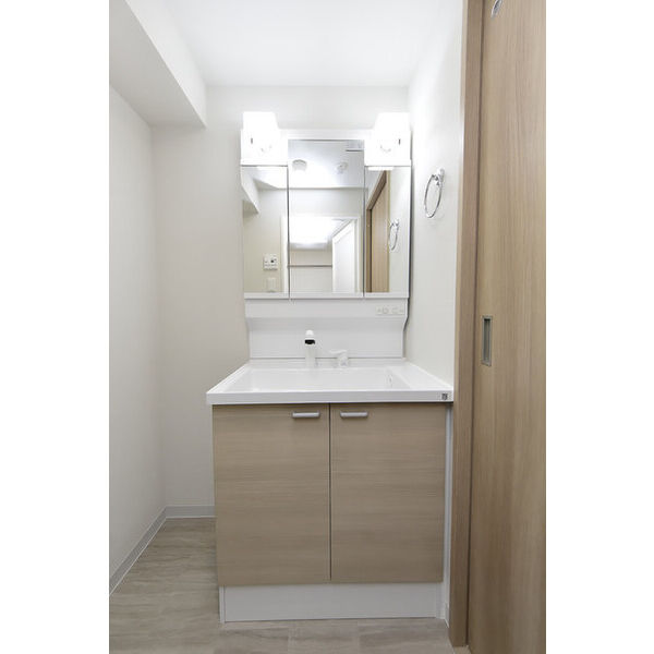 クリオ　ラモード学芸大学Ⅱ0305号室 洗面