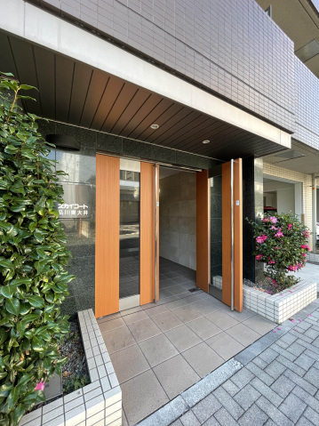 スカイコート品川東大井401号室 エントランス