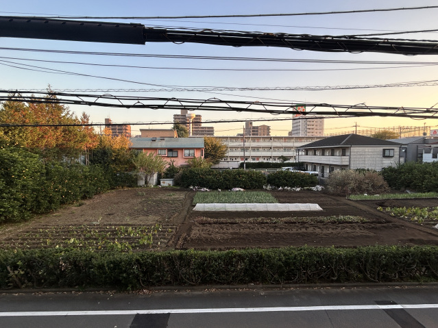 スカイラシクラス平和台205号室 部屋その他