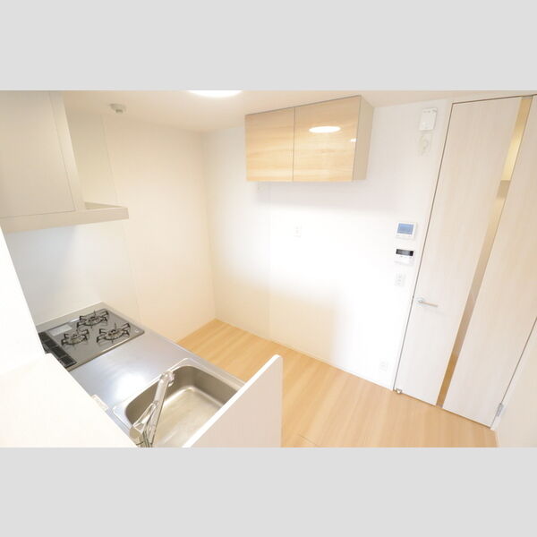 ロイジェントパークス レイクタウン Ⅲ　G キッチン周辺