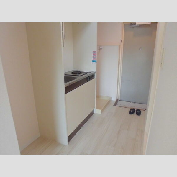 メゾン・ド・ドリーム横浜15号室 部屋その他