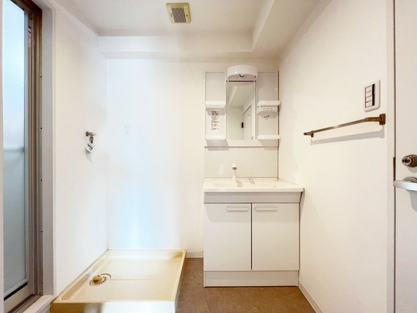 ハイム下鶴間301号室 洗面