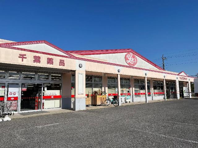 ブルー　スカイ（BLUE SKY） ヤックスドラッグ野田店まで1,053ｍ
