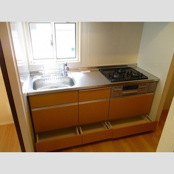 Pegasus Okubo システムキッチン