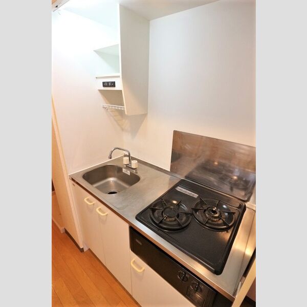 カネキン第二ビル システムキッチン