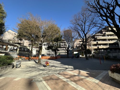 パレステュディオ飯田橋 【公園】新小川公園まで154ｍ