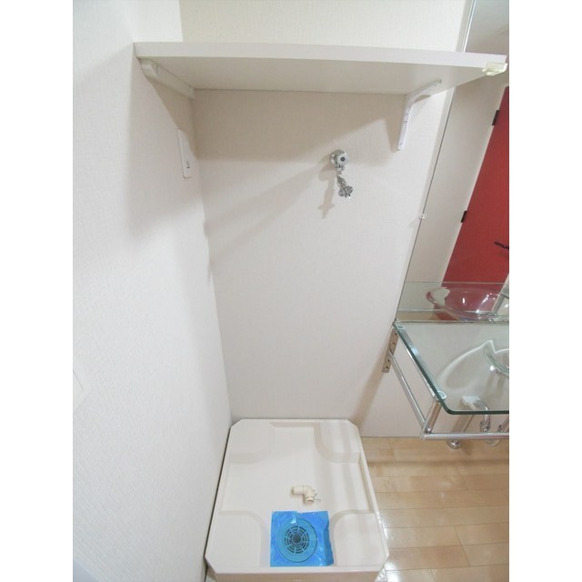 Ｂｒａｎｃｈｅ鷺ノ宮Ⅱ0104号室 室内洗濯機置場