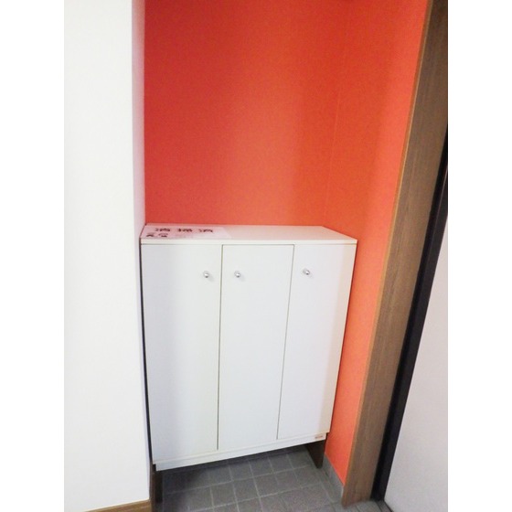 ブライトオーク311号室 玄関