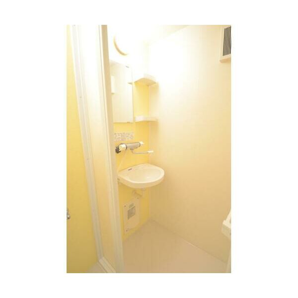 メゾンドマジョレ106号室 洗面