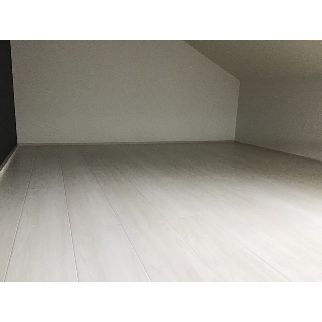 ミモザ213号室 内観