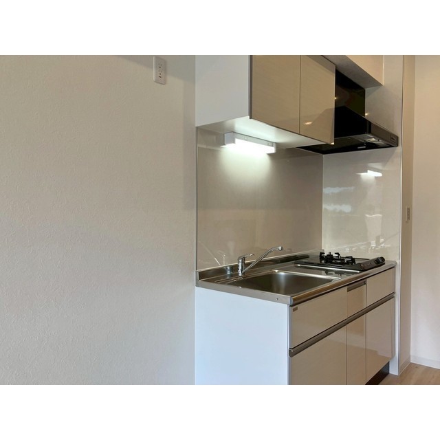 グリーンヴィラ湘南101号室 システムキッチン