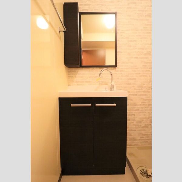 ファミール河内 洗面所