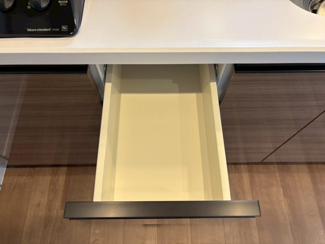 DIPS西新井202号室 収納