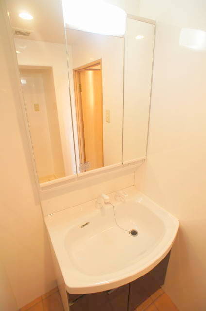 アメニティー・なかにし0302号室 洗面
