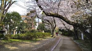ライオンズマンション東北沢 【公園】玉川上水旧水路 大山緑道まで303ｍ