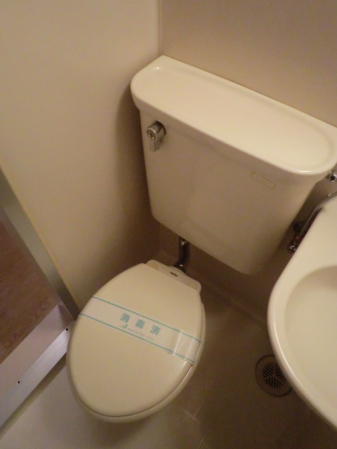 リベラ新丸子0203号室 トイレ
