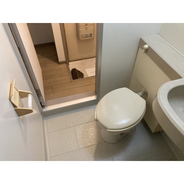 アークエステート205号室 内観