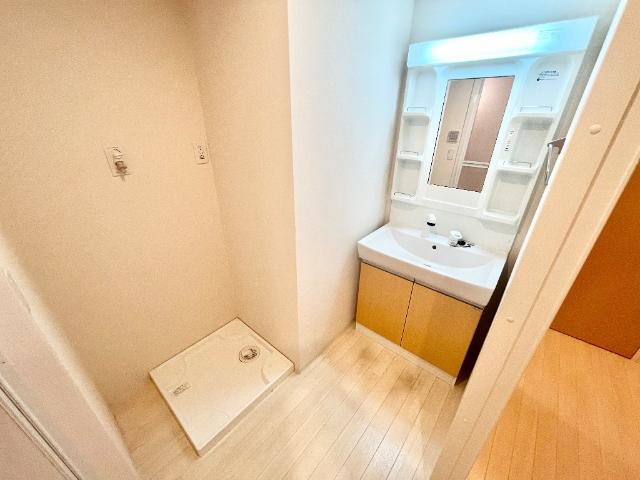 ネオブロッサム1005号室 洗髪洗面化粧台