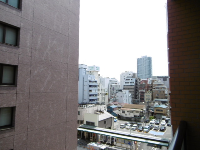 トレセリア横山0607号室 眺望