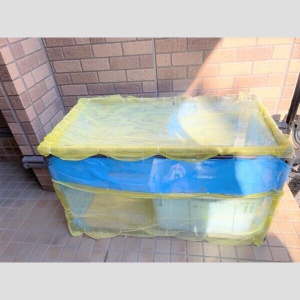 パインヒル鵠沼 ダストボックス