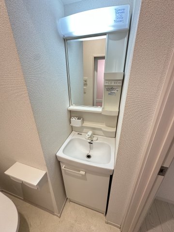 ベイルーム百合ヶ丘302号室 洗面
