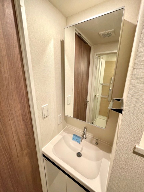 レジディア蒲田Ⅳ7階 洗面