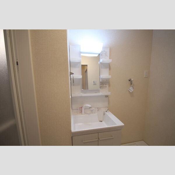 アンジュール新田303号室 洗面