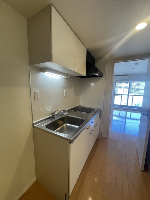 グリーンフラッツ0203号室 キッチン