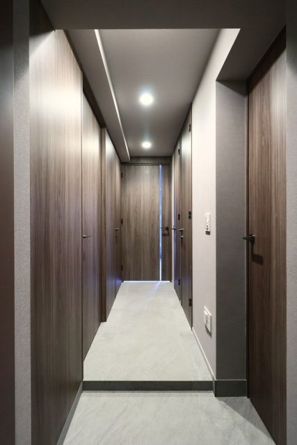 ピアース銀座レジデンス9階 玄関