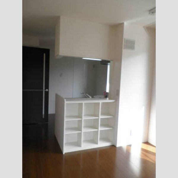 プランドール緑町201号室 カウンターキッチン収納