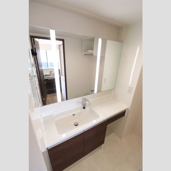 ウィステリア301号室 洗面台
